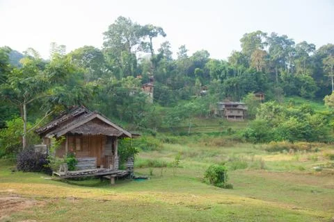 House and rice fields Stock Photos