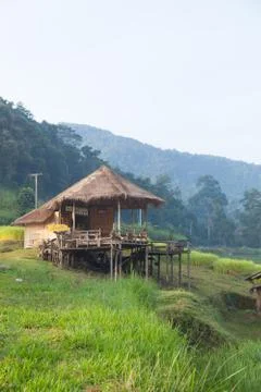 House and rice fields Stock Photos