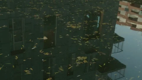 The house and sky are reflected in a puddle. Autumn Stock Footage 273576485