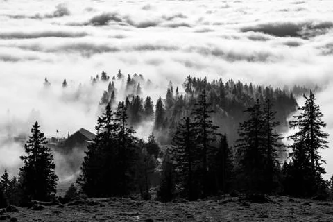 A house and some trees are disappearing under the fog, Switzerland Stock Photos