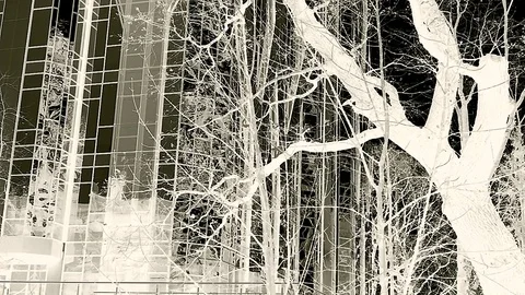 House And Trees On The Front View In Abstract Video Stock Footage 84597955