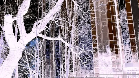 House And Trees On The Front View In Abstract Artwork Stock Footage 84606135