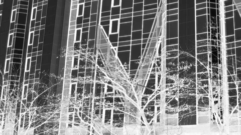 The House And The Wind. The Branches Move In Fast Motion Stock Footage 103323661