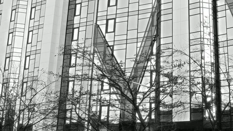 The House And The Wind. The Branches Move In Timelapse Stock Footage 103323662