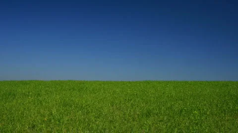 House Animation - Property Vidéo 752545