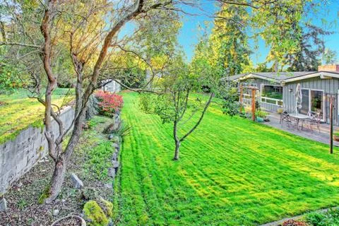 House with backyard garden Stock Photos