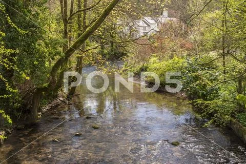 House on the banks of an overgrown stream Stock Photos