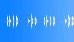 House Bass-008-Gm-126bpmSound Effect
