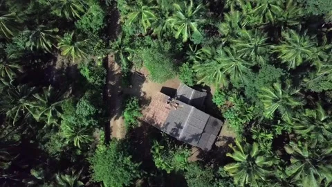 House between palm trees on a beach of the ocean, tropical forest on the Pacific Stock Footage 269684683