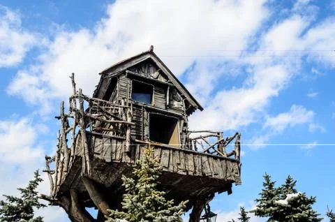 House on the Big Tree in Winter Stock Photos