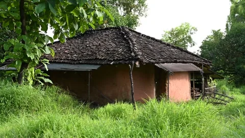 A House built from Natural Resources Stock Footage 251841802