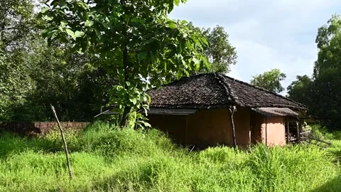 A House built from Natural Resources Stock Footage 251842622