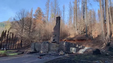 House burned down to the ground from a forest wildfire in Detroit, Oregon. Vidéo 220241068