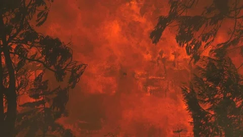 House burning in forest fire Stock Footage 160529497