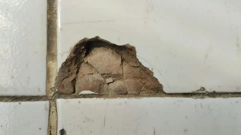 House ceramic floor is damaged and has holes Stock Footage 296473496