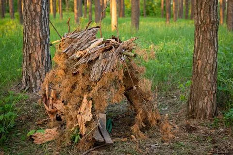 House of children in forest Stock Photos