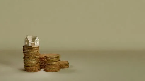 House on coins Stock Illustration