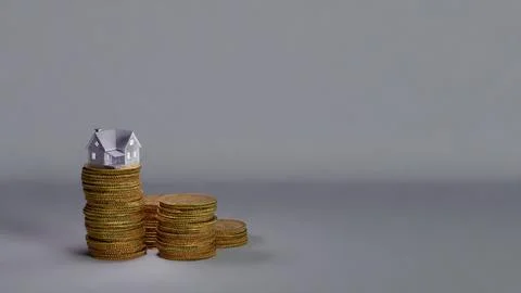 House on coins Stock Illustration