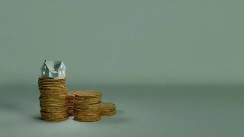 House on coins Stock Illustration
