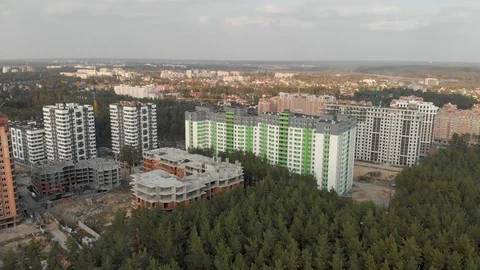 House Construction on the Outskirts. Pine Forest Stock Footage 117282662