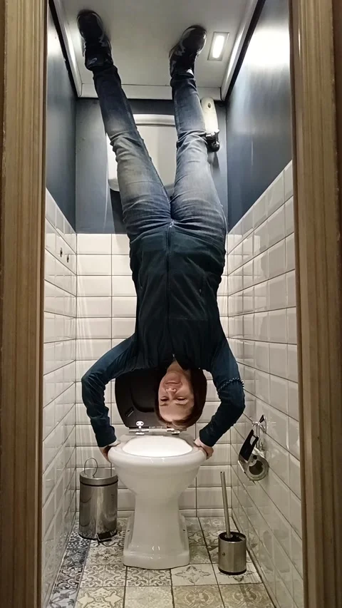 The house is on the contrary, the toilet Stock Footage 294053151