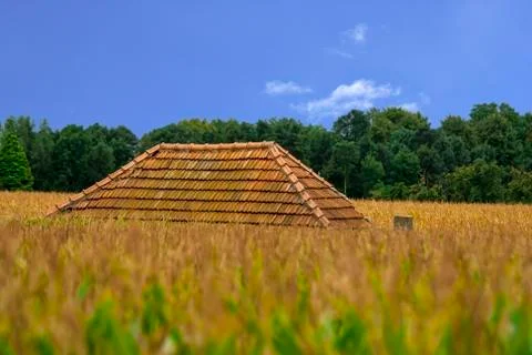 House in cornfield Stock Photos
