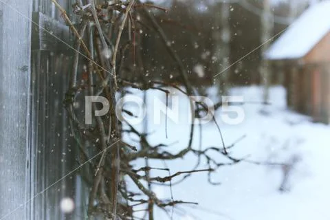 House in country rural Winter Stock Photos