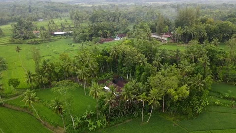 House in the countryside 動画素材 256015268