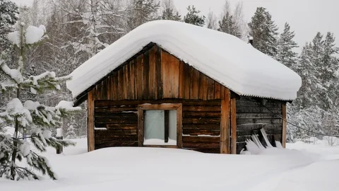 House covered with snow in pine forest. Village in winter landscape. Siberia. 4K Stock Footage 126170203