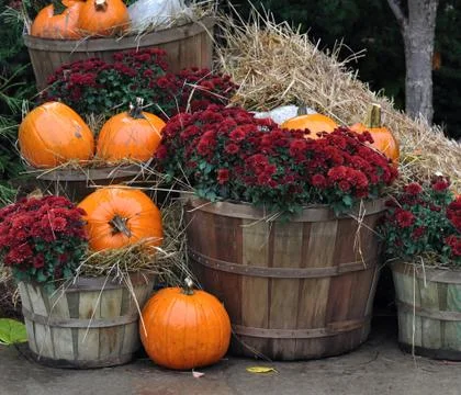 House decorated with pumpkins Foto stock