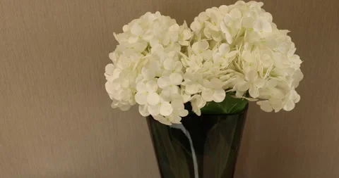 House Decorative Flowers Stock Footage 329622076