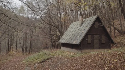 A house deep in the forest Stock Footage 98213071