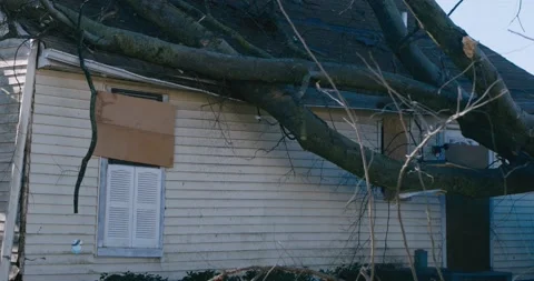 House destroyed by fallen tree after tornado Stockbeeldmateriaal 141217076