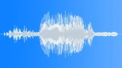 House Door Open CloseSound Effect