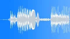 House Door Open CloseSound Effect