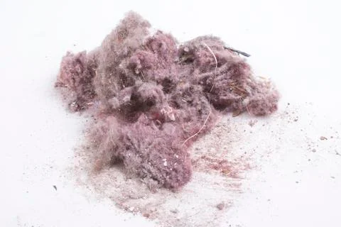 House dust Stock Photos