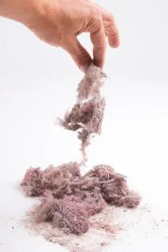 House dust Stock Photos