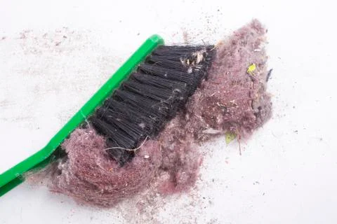 House dust Stock Photos