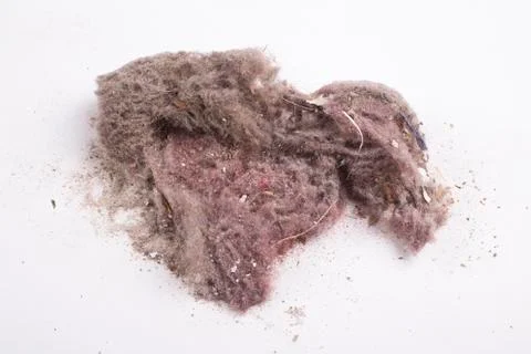 House dust Stock Photos