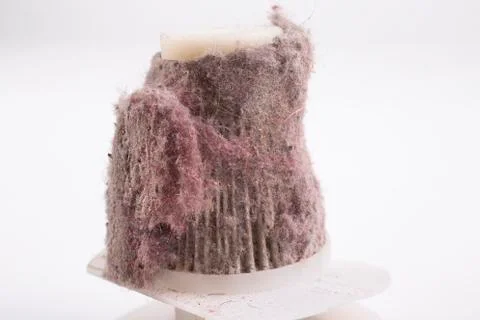 House dust Stock Photos