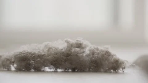 House dust on white floor Stock Footage 263425848