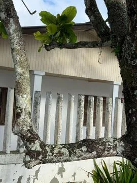 House facade with tree branch Stock Photos