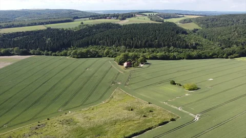 House in field 動画素材 168416942