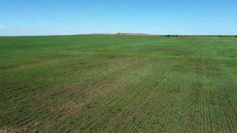 House in the field Stock Footage 221759772