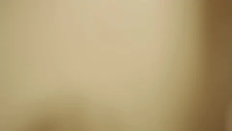 House figurine Stock Footage 77048353