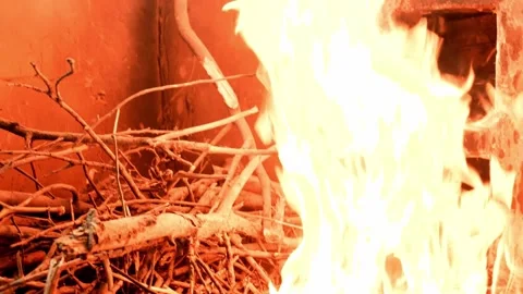 The house is on fire Stock Footage 235266169