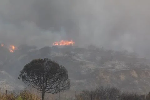 House on Fire Stock Photos