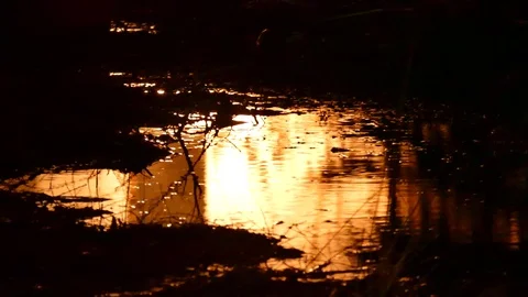 House Fire Reflection In Puddle At Night Video stock 76752296