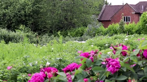 House flowers fixed pythouse kitchen gardens,wiltshire 스톡 동영상 137396214