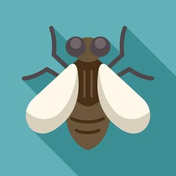 House fly spreading germs with its dirty legs and wings Stock Illustration